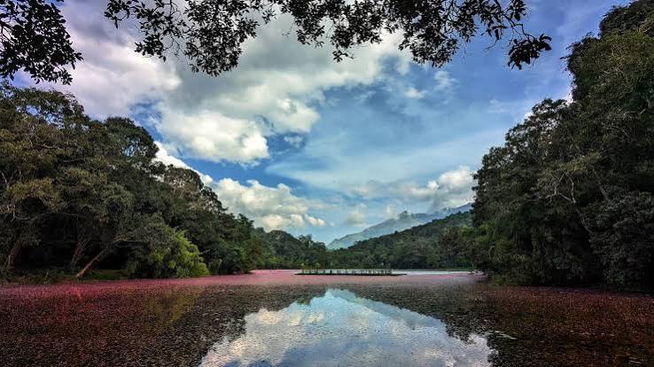 Pookode Lake Wayanad Kerala